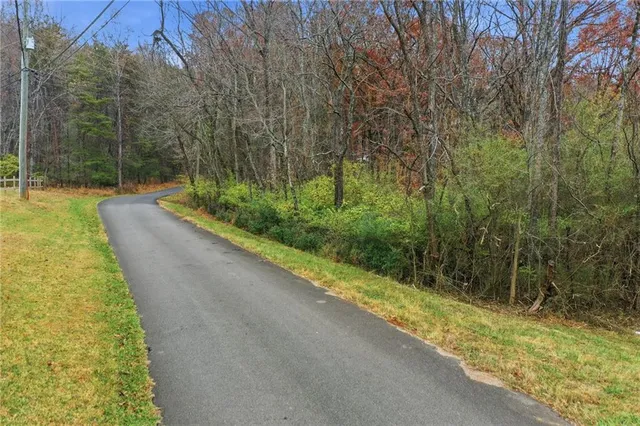 a view of a pathway with a yard
