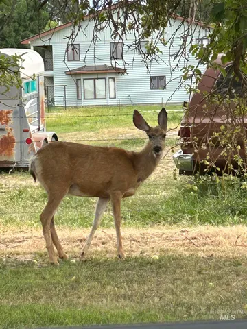 $669,900 | 173 Fafnir Drive, Kimberly, ID 83341