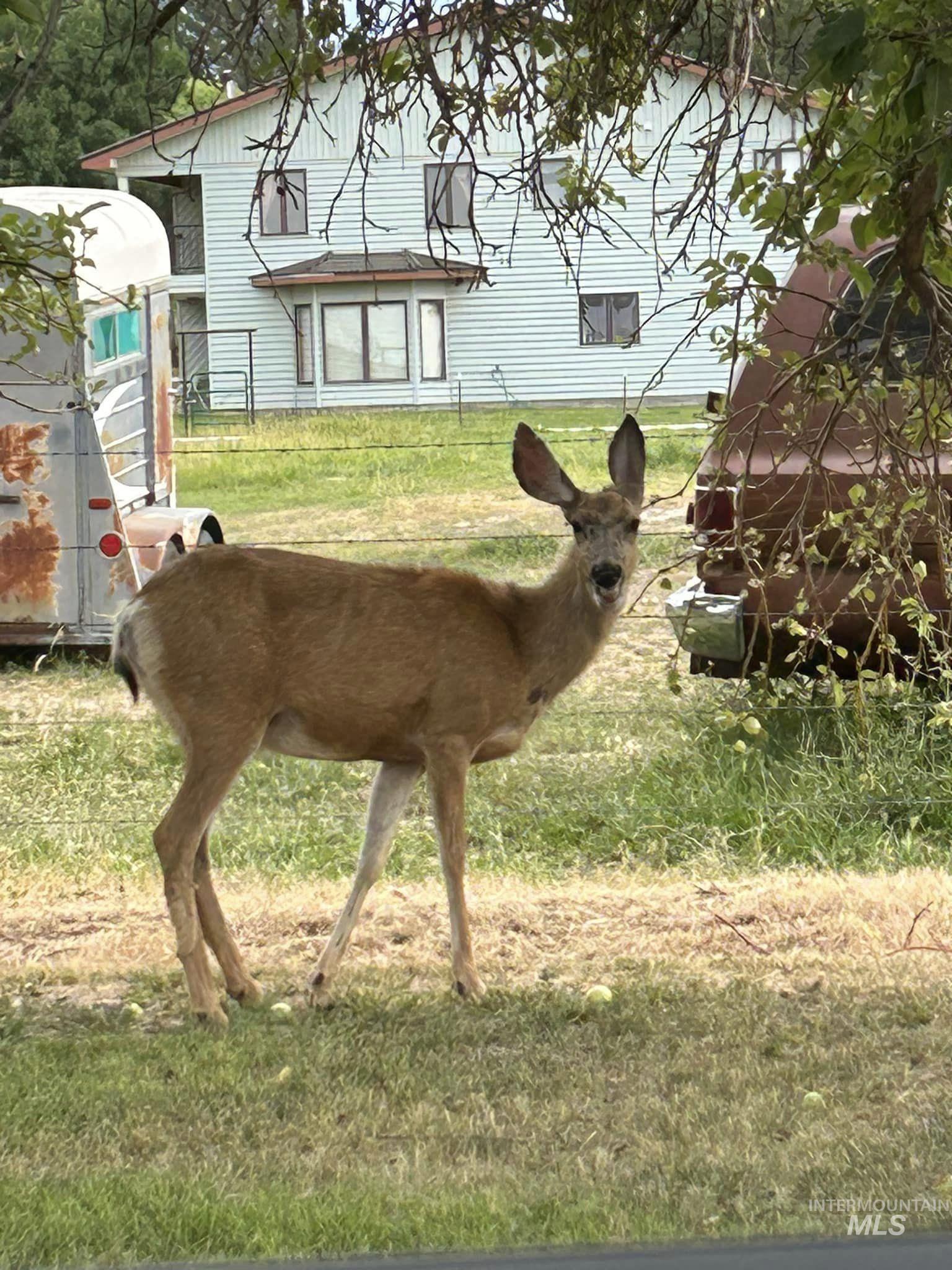 173 Fafnir Drive Kimberly, ID 83341 - Photo 31 of 42