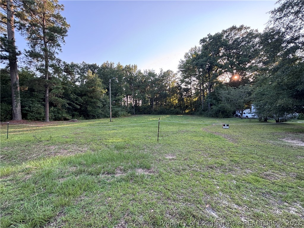 595 Shaw Road St. Pauls, NC 28384 - Photo 26 of 29