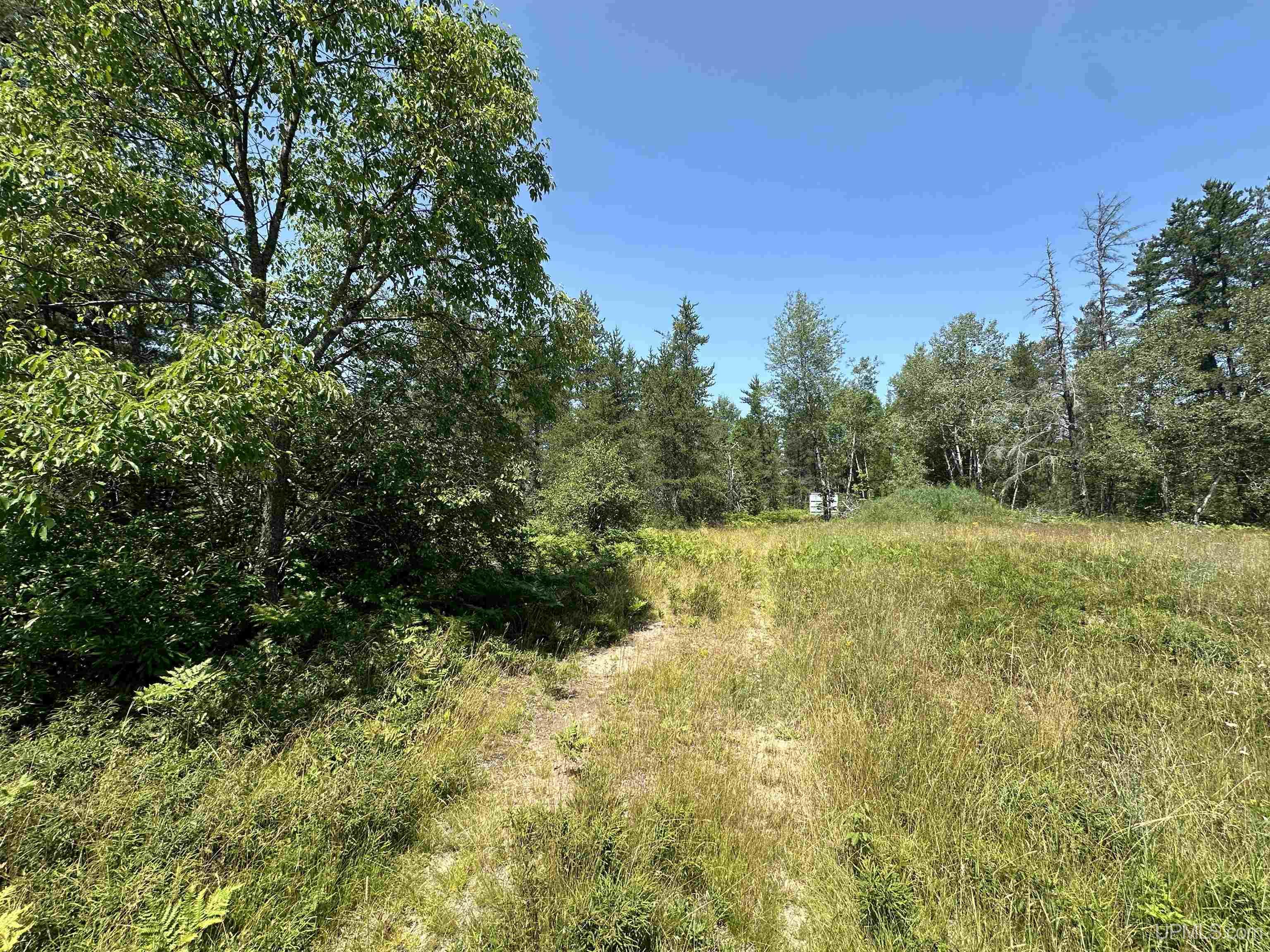 2020-2050 Co Road Little Lake, MI 49833 - Photo 3 of 39