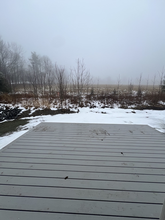 252 East County Road Rutland, MA 01543 - Photo 18 of 42 a view of a terrace with trees