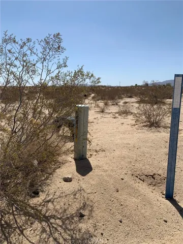a view of beach and ocean