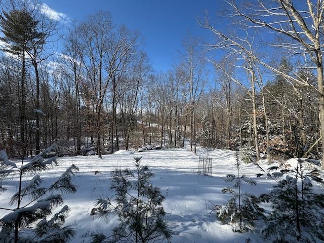 38 Marsh Road Barrington, NH 03825 - Photo 53 of 57