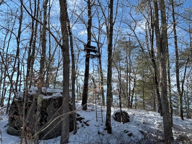 38 Marsh Road Barrington, NH 03825 - Photo 54 of 57