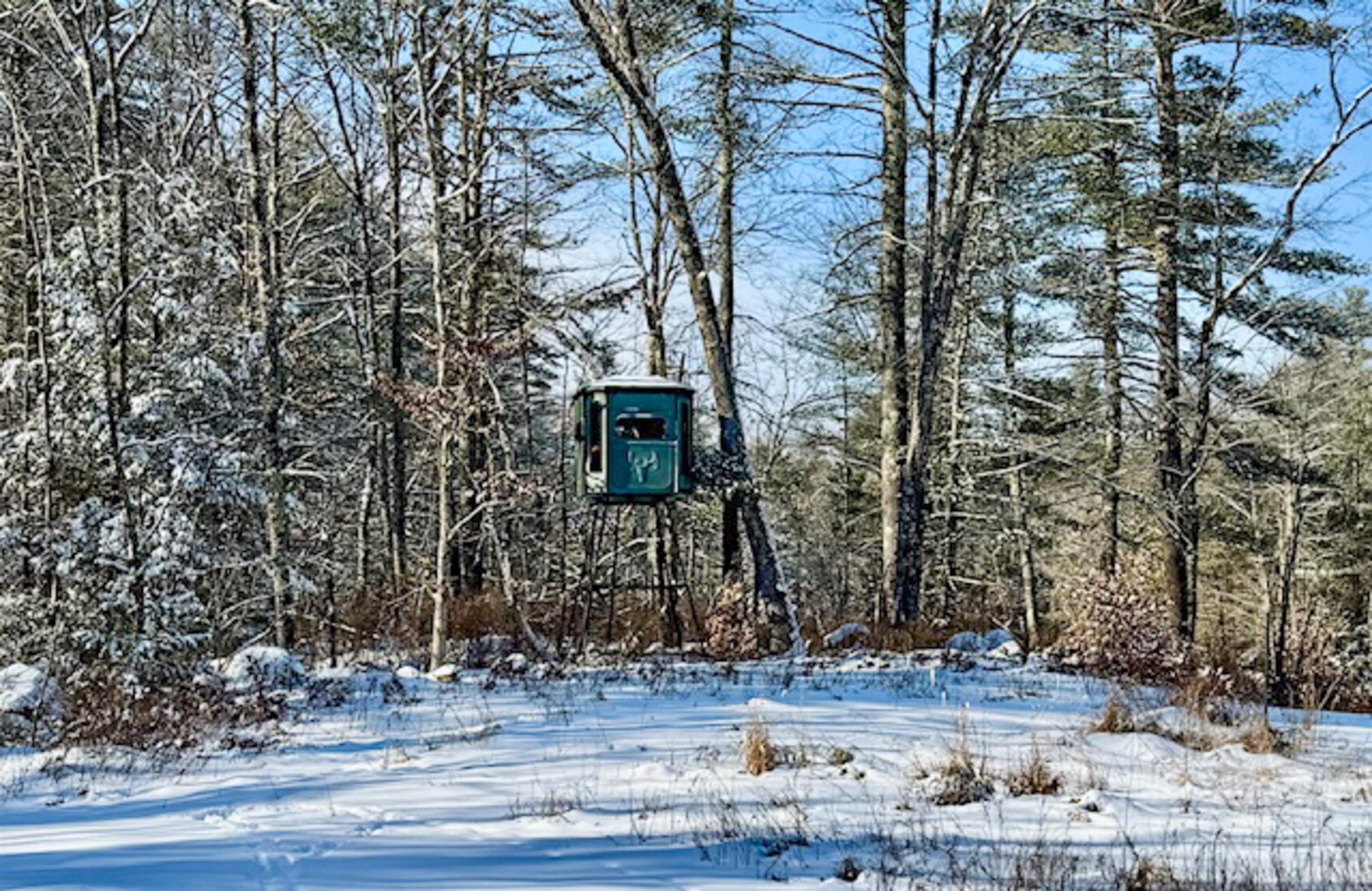 38 Marsh Road Barrington, NH 03825 - Photo 57 of 57