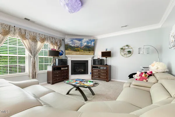 a living room with furniture window and a fireplace