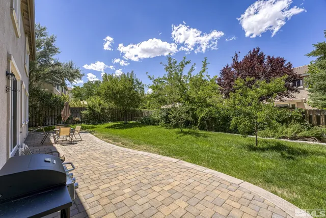 a view of a park with large trees