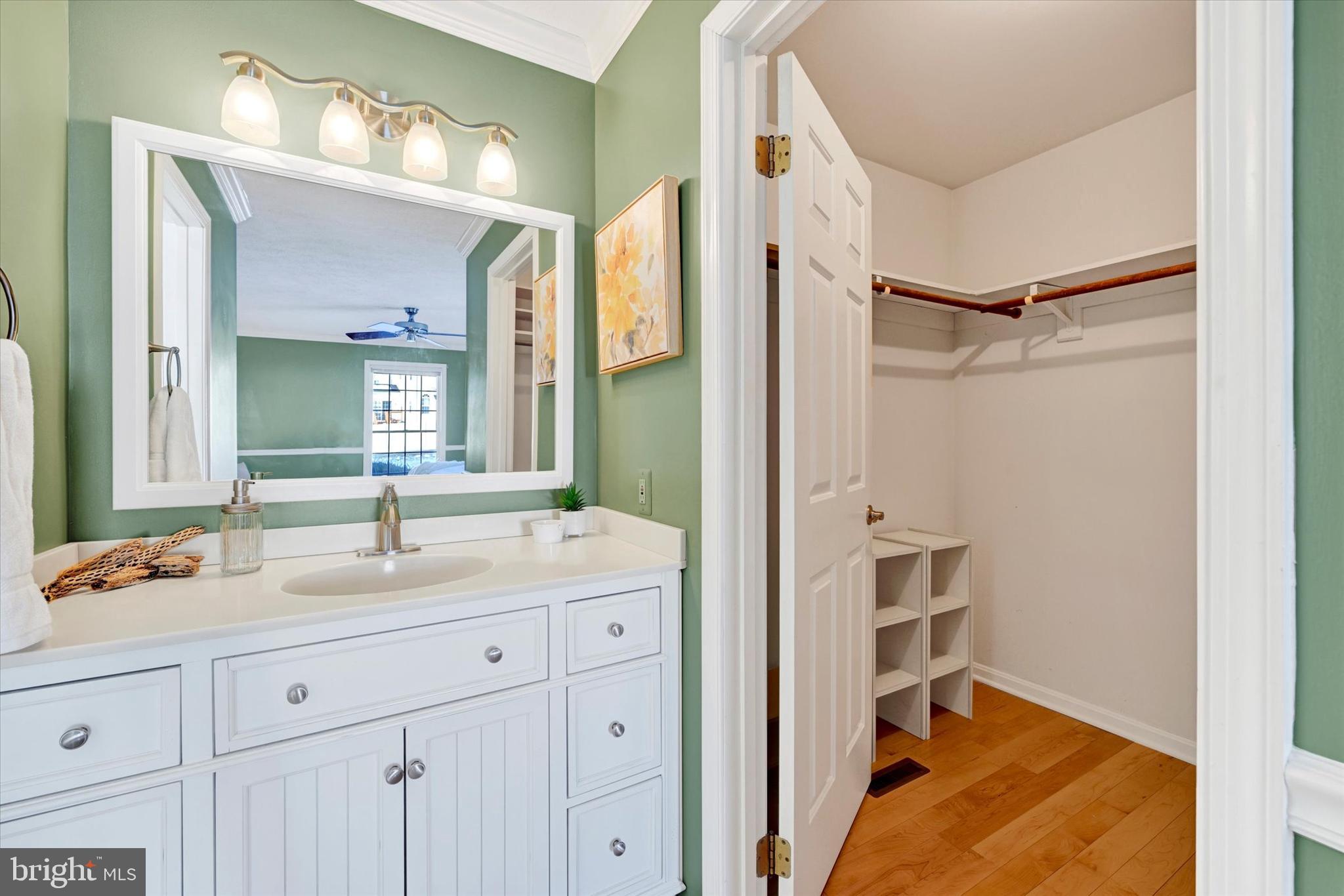 7710 Gum Spring Road Baltimore, MD 21237 - Photo 30 of 61 Primary Vanity/walkin closet