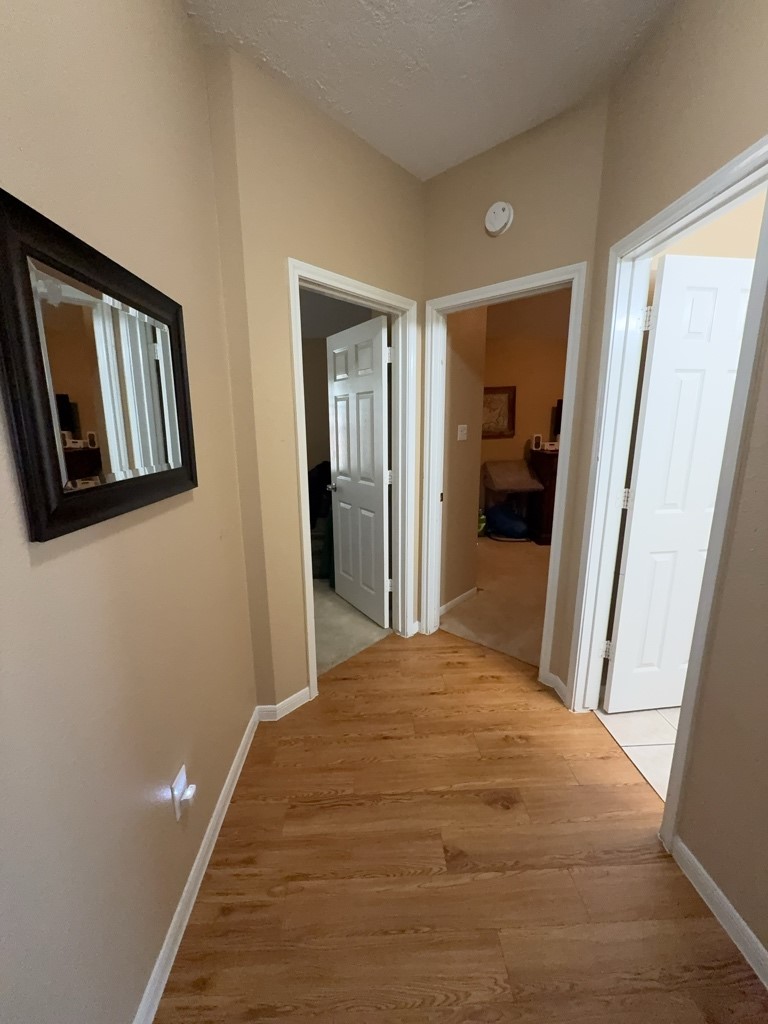 3726 Primrose Trace Lane Spring, TX 77389 - Photo 2 of 8