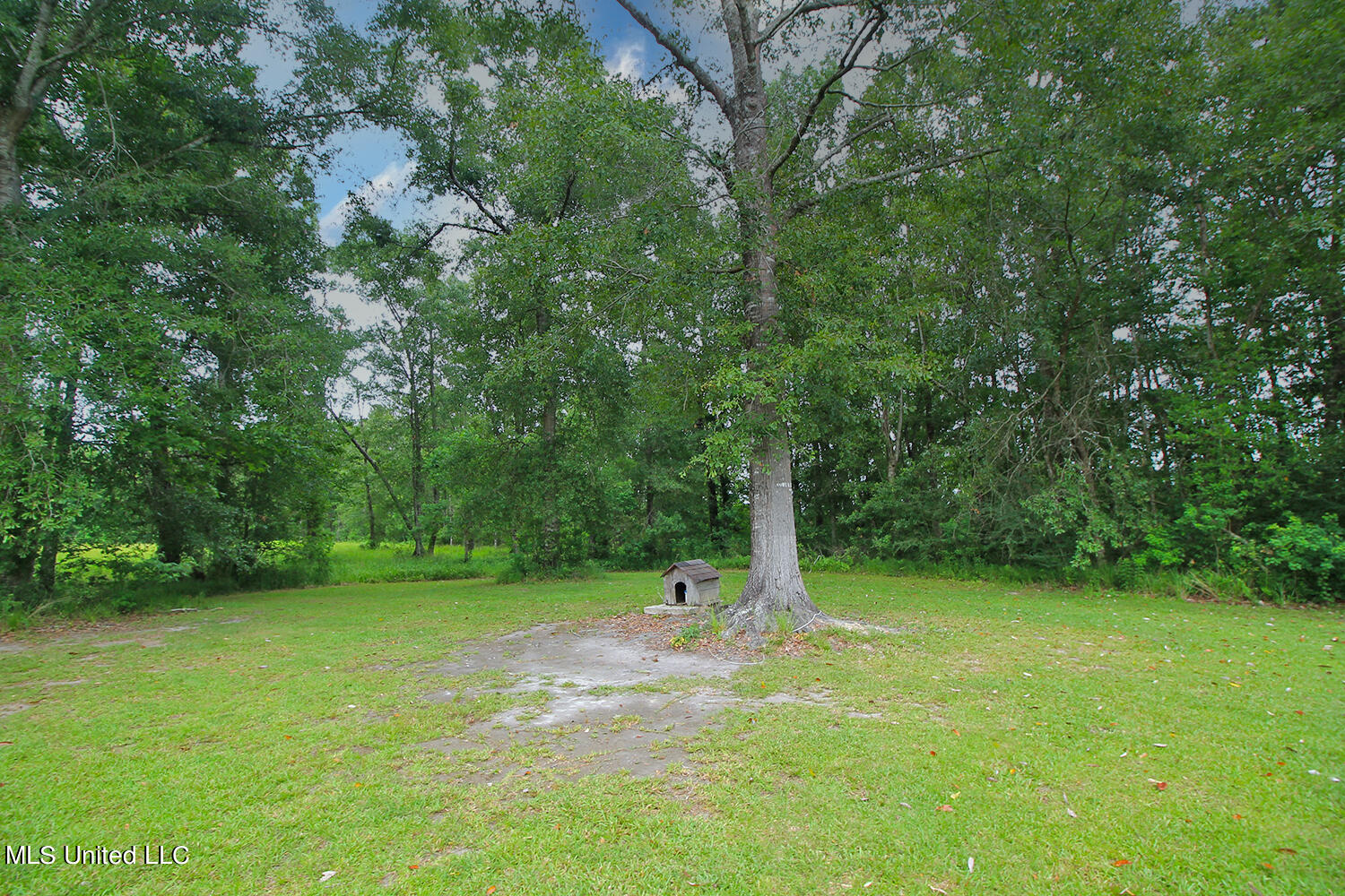 25018 Yellow Bluff Road Lucedale, MS 39452 - Photo 41 of 50 5 (5)