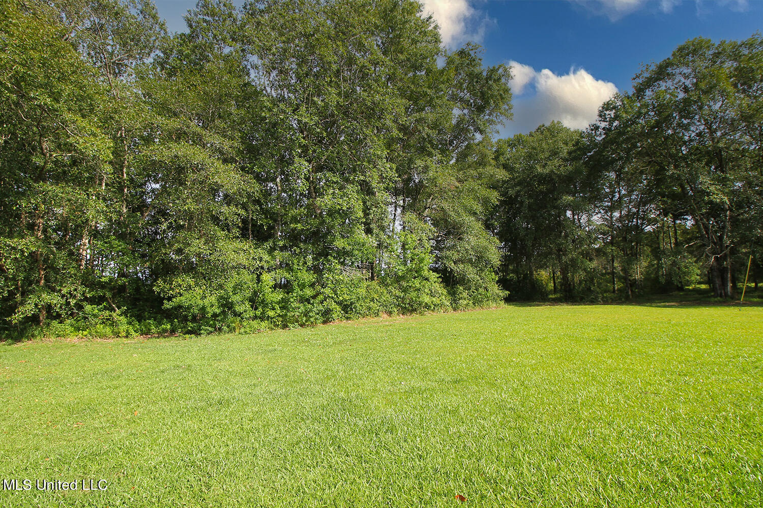 25018 Yellow Bluff Road Lucedale, MS 39452 - Photo 42 of 50 5 (6)