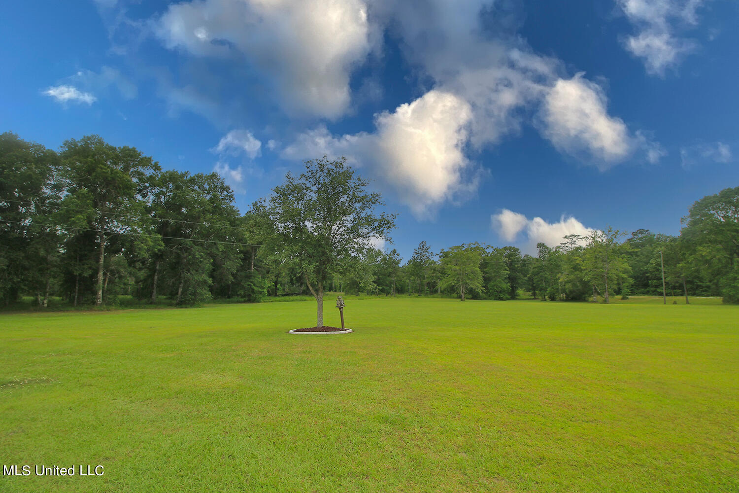 25018 Yellow Bluff Road Lucedale, MS 39452 - Photo 43 of 50 5 (7)