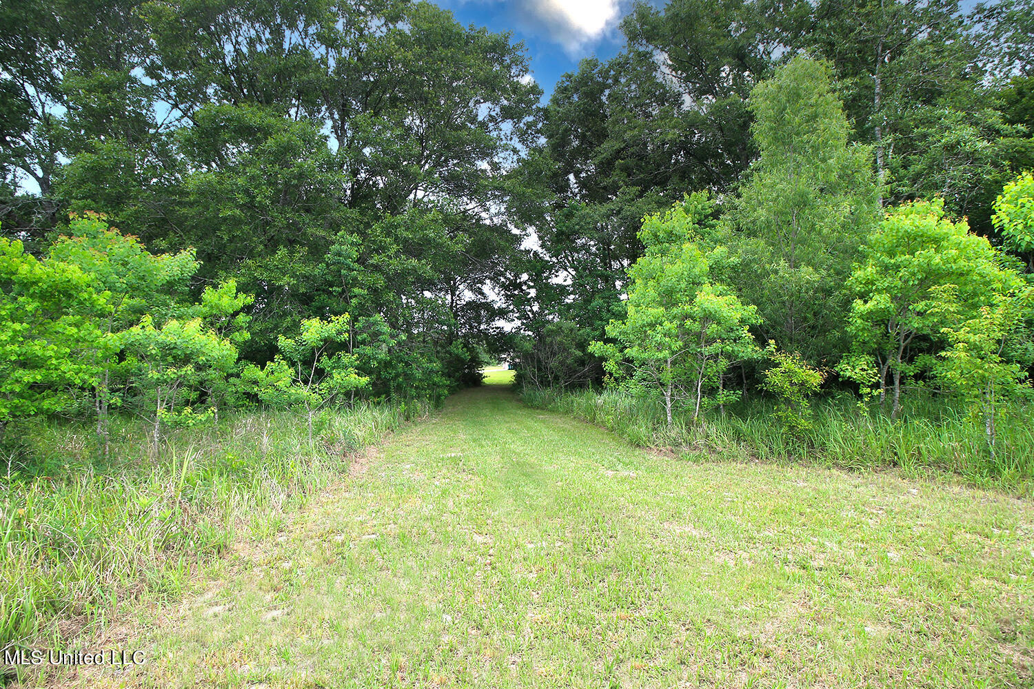 25018 Yellow Bluff Road Lucedale, MS 39452 - Photo 45 of 50 6 (1)