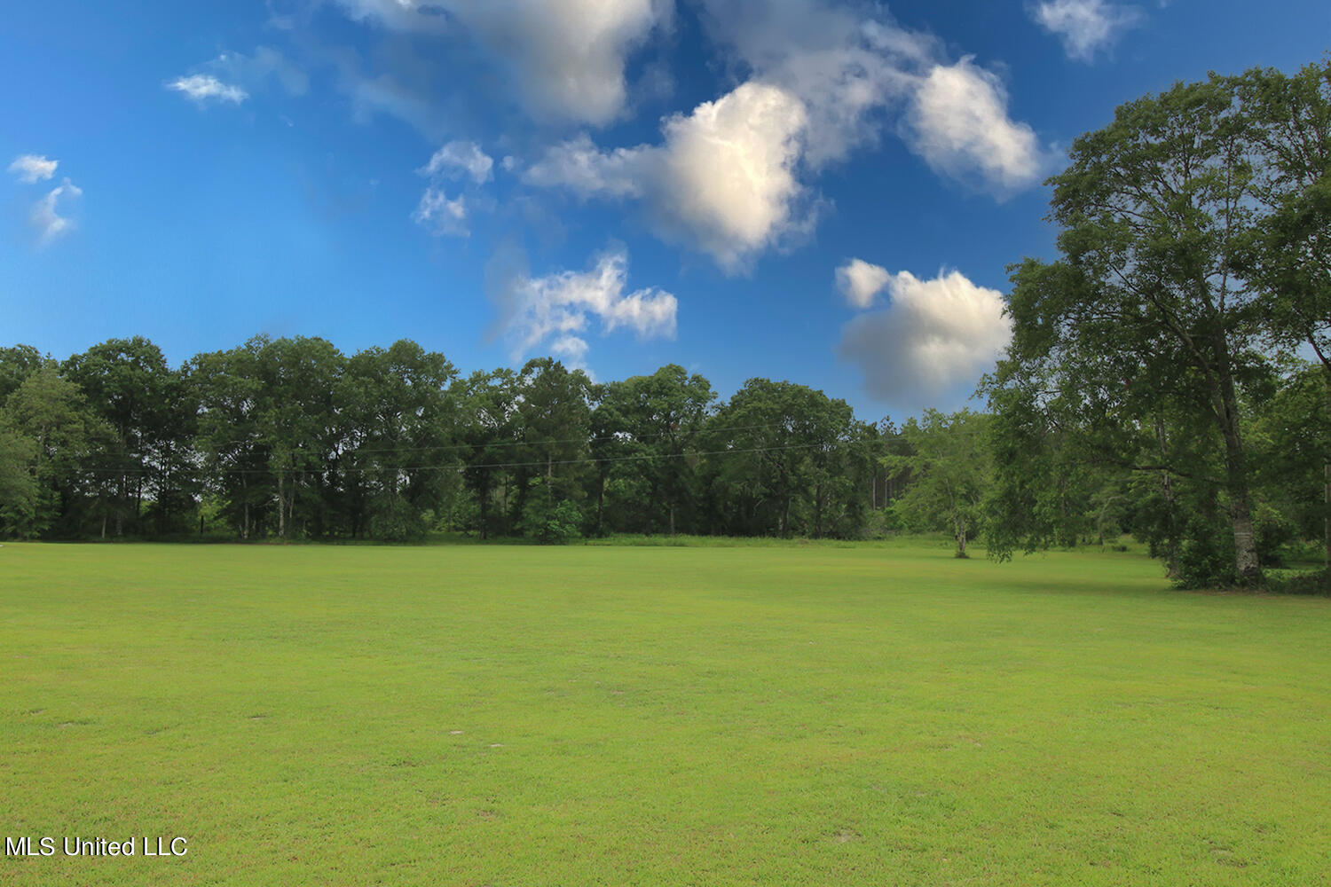 25018 Yellow Bluff Road Lucedale, MS 39452 - Photo 46 of 50 6 (2)