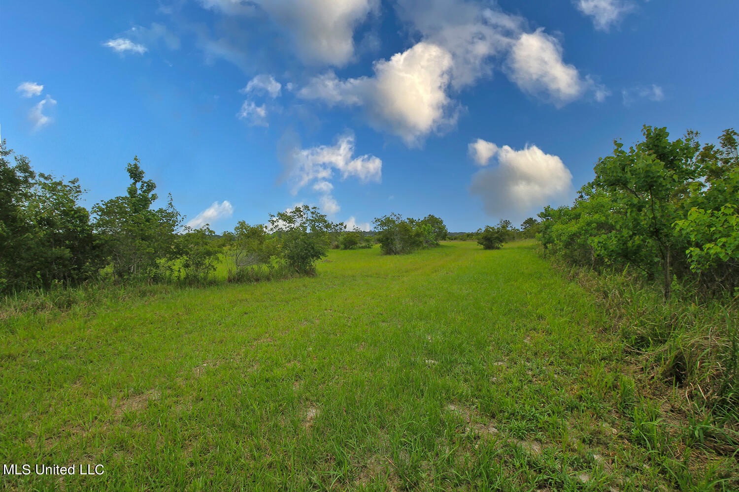 25018 Yellow Bluff Road Lucedale, MS 39452 - Photo 47 of 50 6 (3)