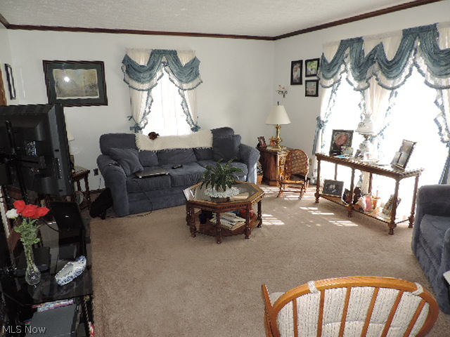 3413 Conkle Road Salem, OH 44460 - Photo 2 of 13 Gallery Image 2