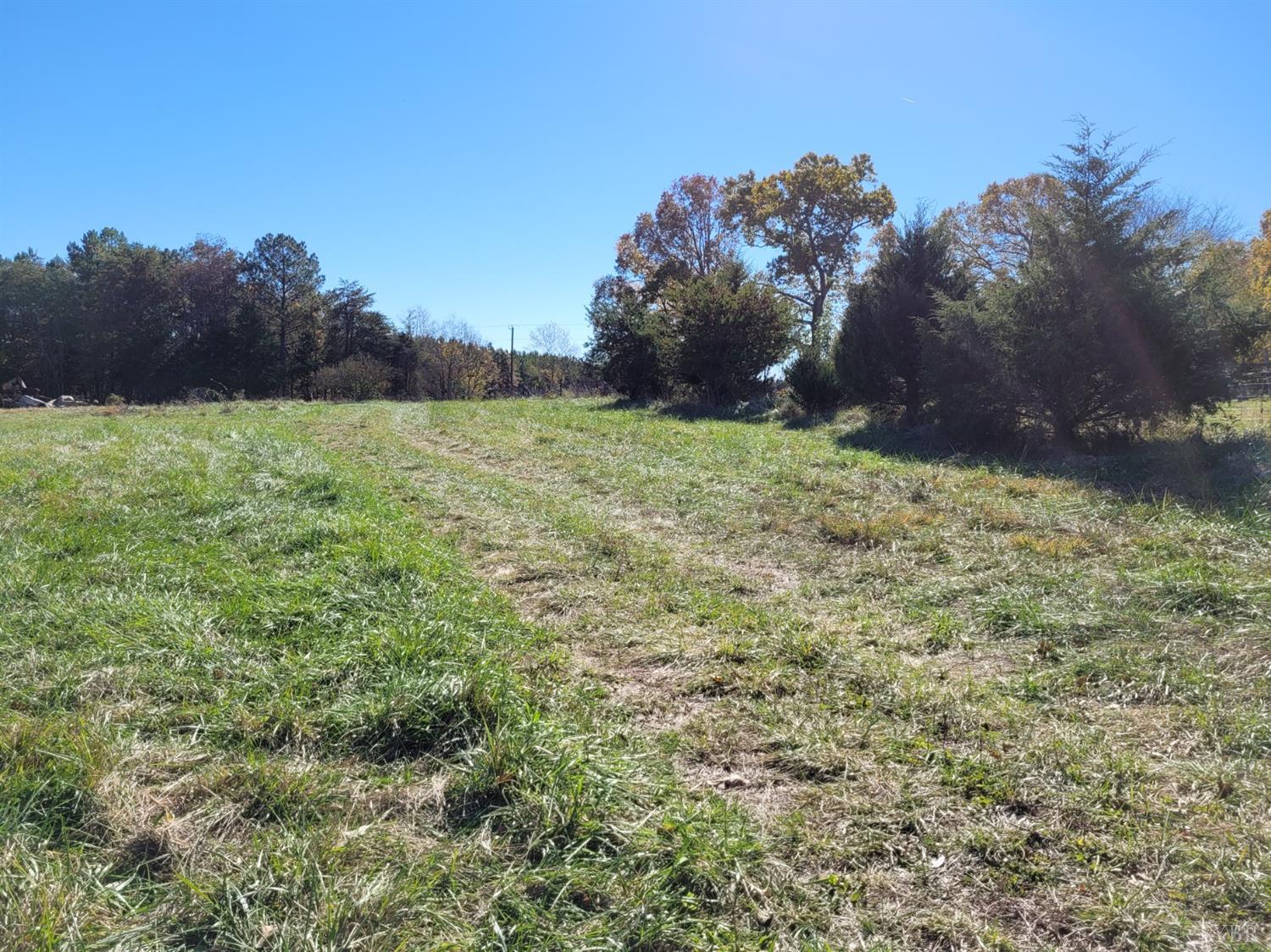1088 Double Bridges Road Spout Spring, VA 24593 - Photo 1 of 3 a view of a yard with a tree