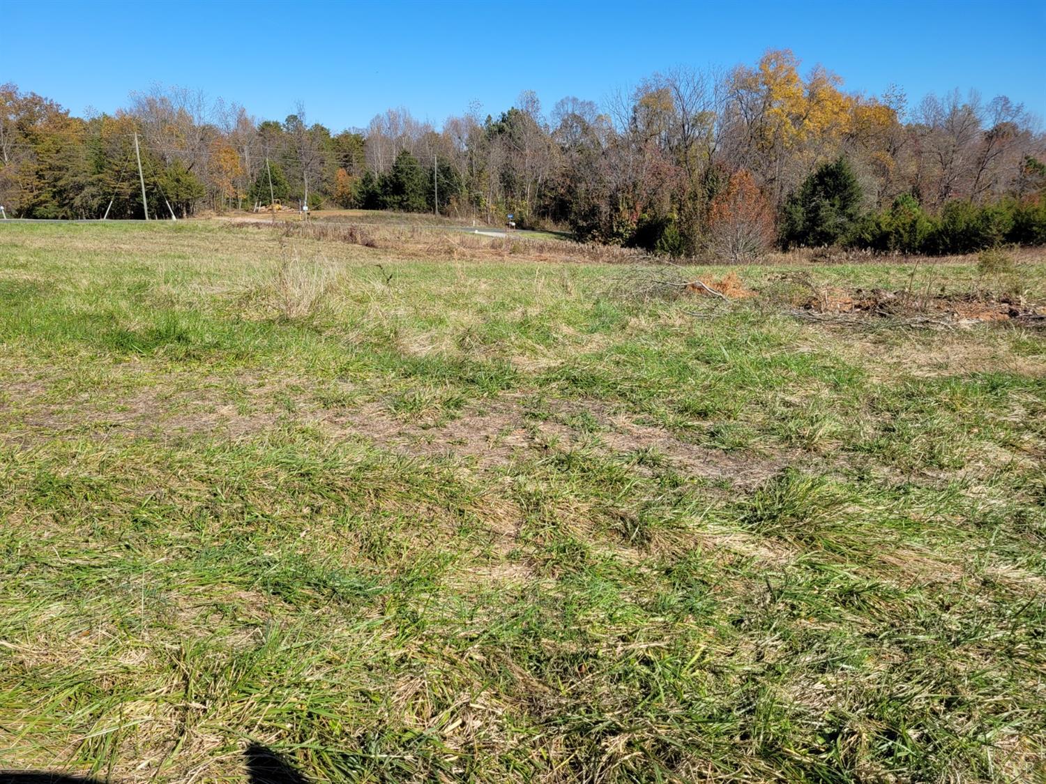 1088 Double Bridges Road Spout Spring, VA 24593 - Photo 3 of 3 a view of a field with trees in the background