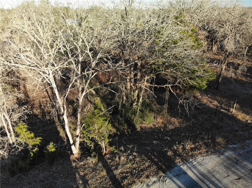 80-390 Hill Loop Road Somerville, TX 77879 - Photo 14 of 17