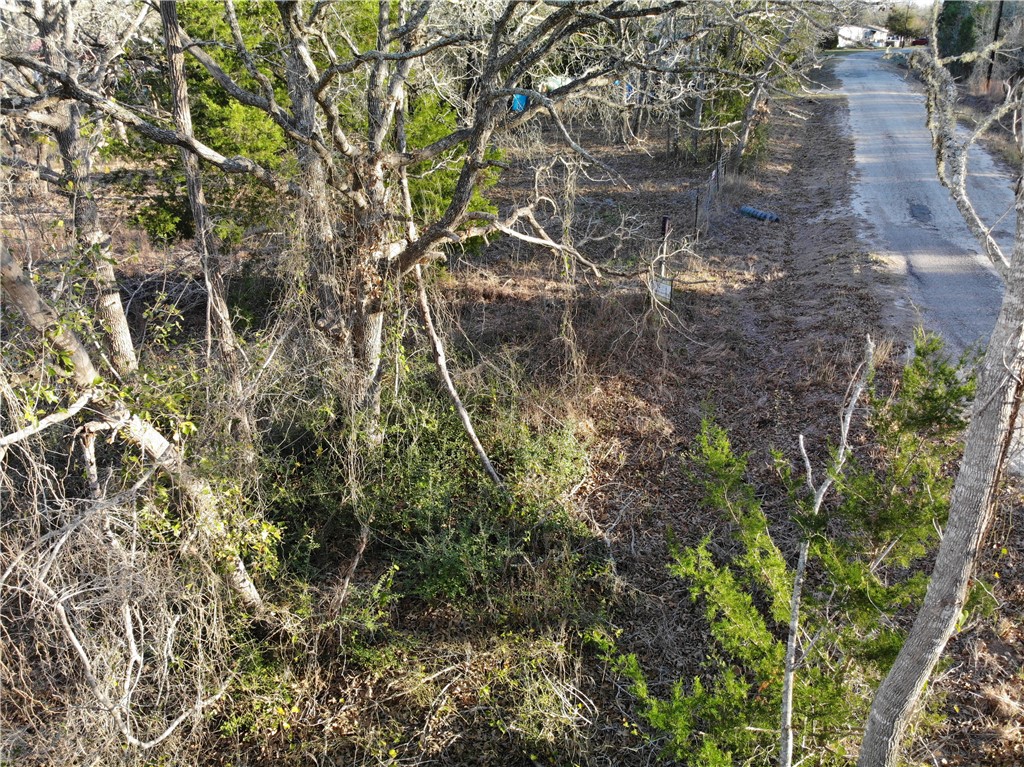 80-390 Hill Loop Road Somerville, TX 77879 - Photo 15 of 17