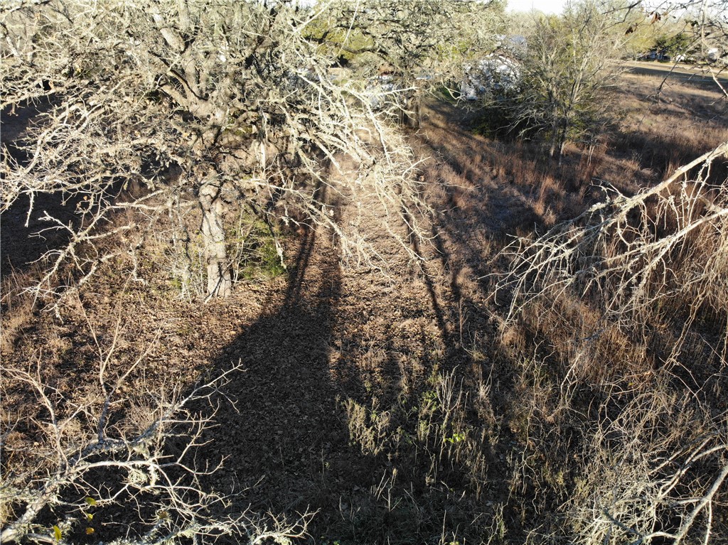 80-390 Hill Loop Road Somerville, TX 77879 - Photo 17 of 17