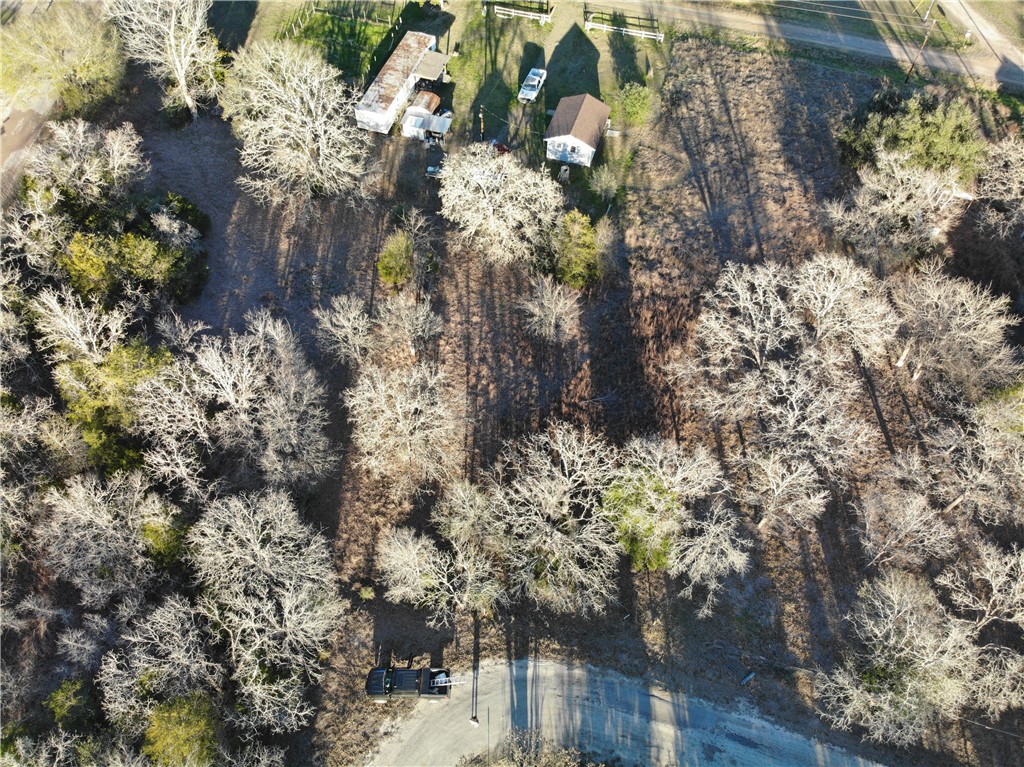 80-390 Hill Loop Road Somerville, TX 77879 - Photo 2 of 17