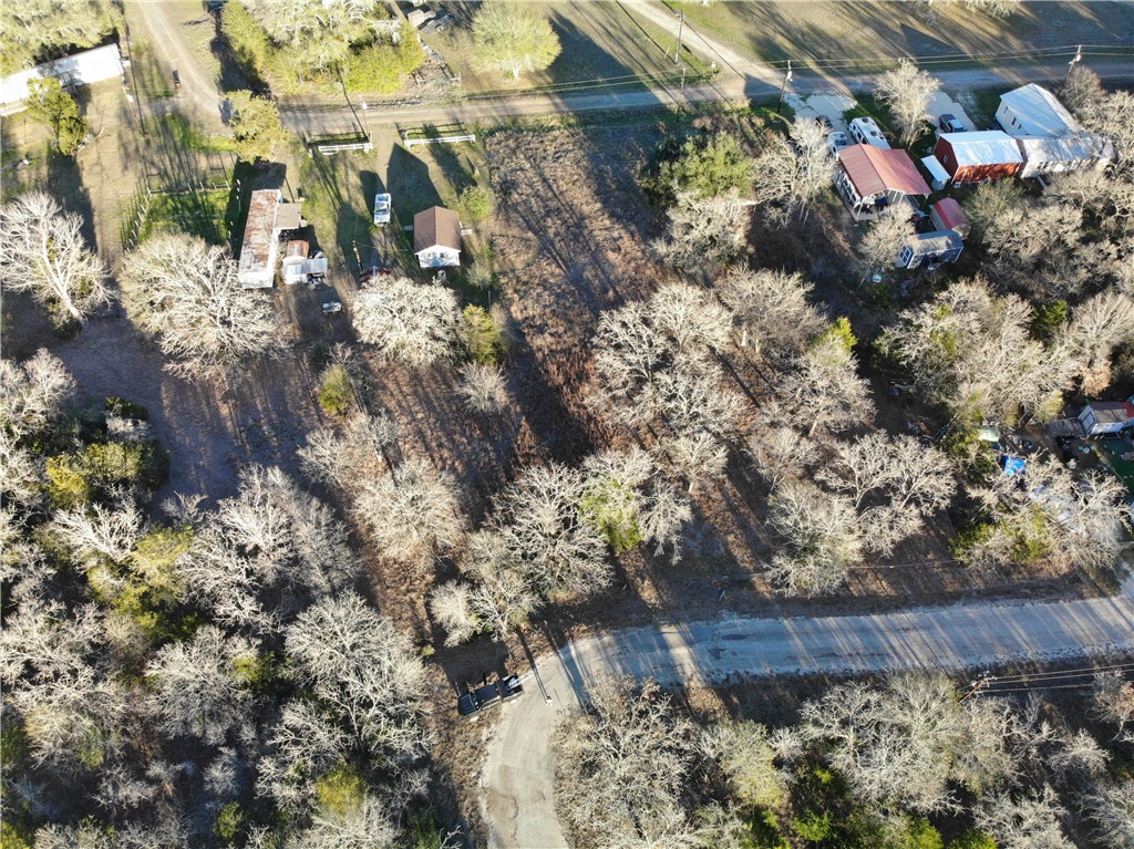 80-390 Hill Loop Road Somerville, TX 77879 - Photo 3 of 17