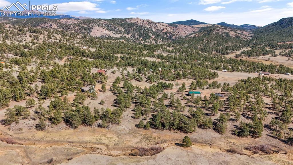 567 Ranch Resorts Drive Florissant, CO 80816 - Photo 4 of 8