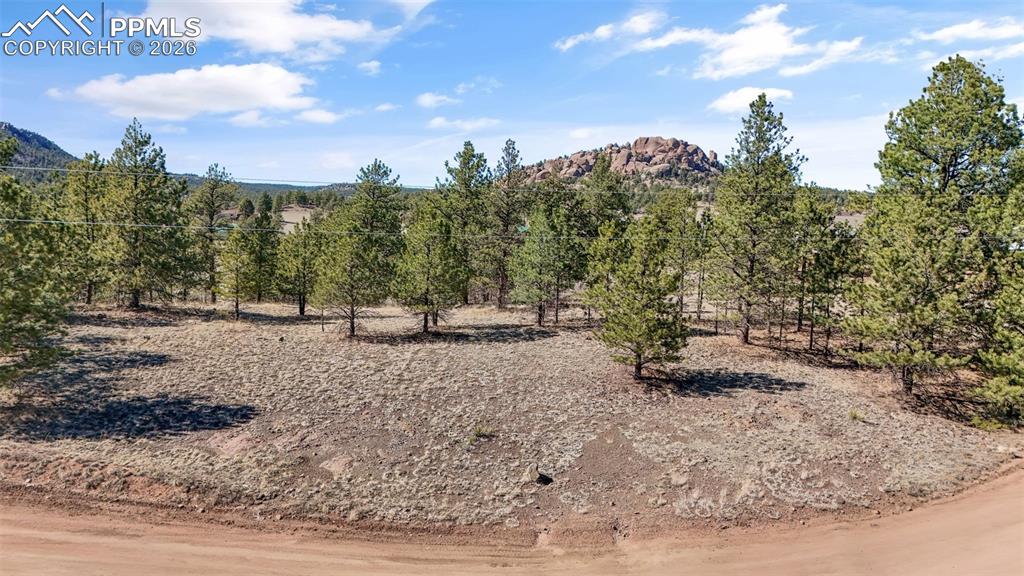 567 Ranch Resorts Drive Florissant, CO 80816 - Photo 5 of 8