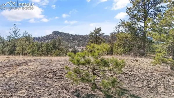 $61,500 | 567 Ranch Resorts Drive, Florissant, CO 80816