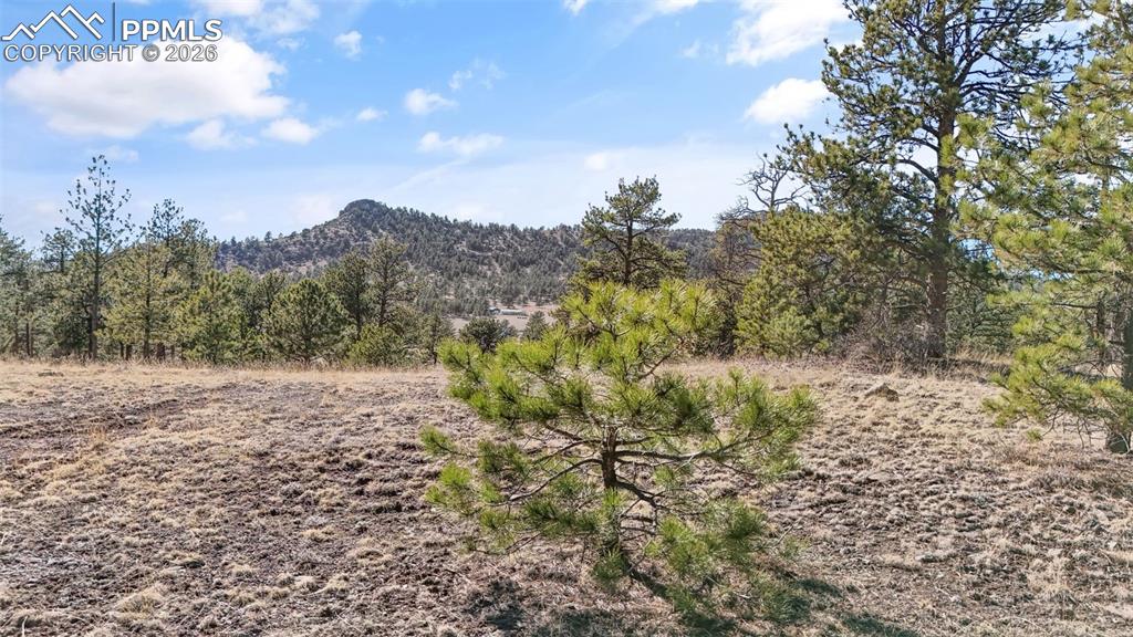 567 Ranch Resorts Drive Florissant, CO 80816 - Photo 6 of 8