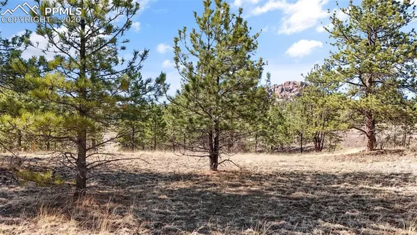 $61,500 | 567 Ranch Resorts Drive, Florissant, CO 80816