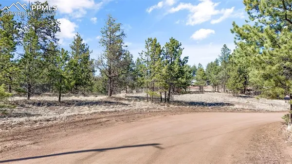 $61,500 | 567 Ranch Resorts Drive, Florissant, CO 80816