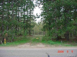 Parcel A Parcel A Sheridan Road Vassar, MI 48768 - Photo 1 of 1 Property Photo