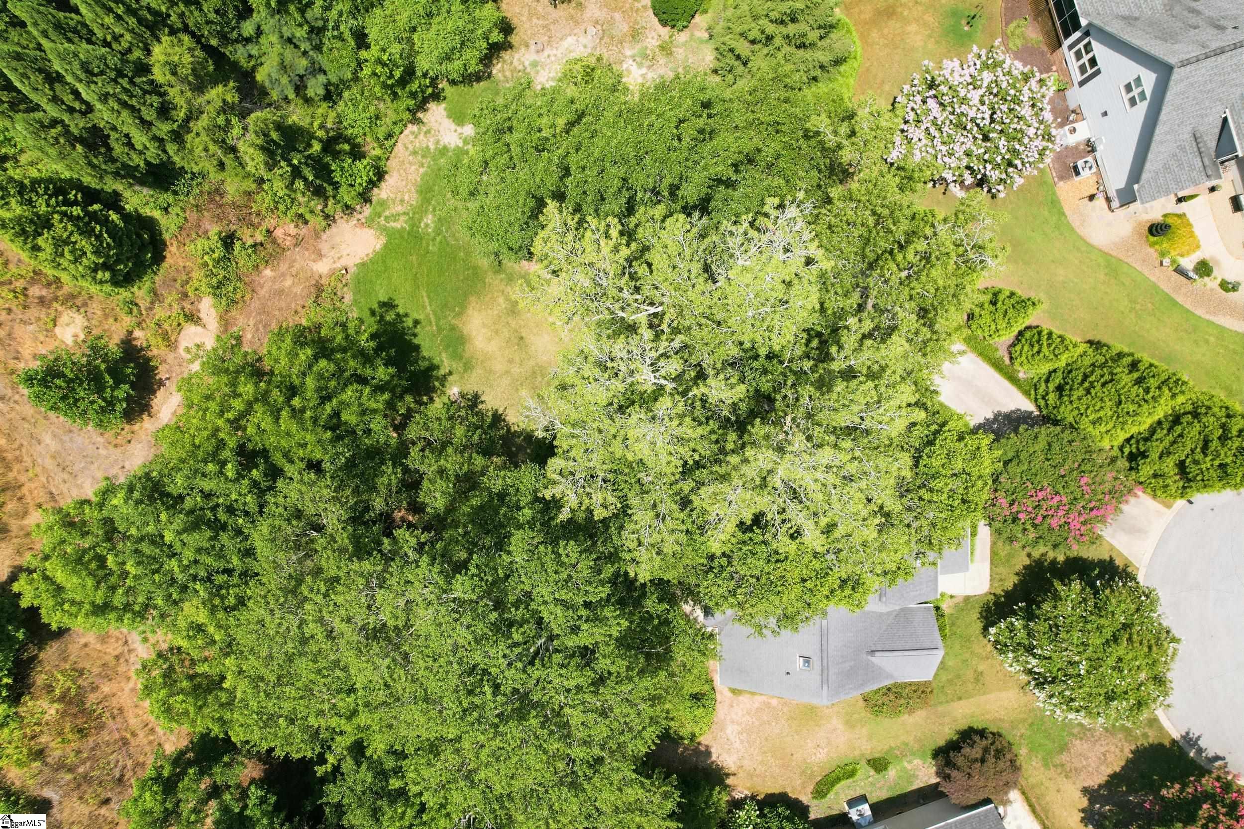 319 Wild Rice Drive Simpsonville, SC 29681 - Photo 26 of 30