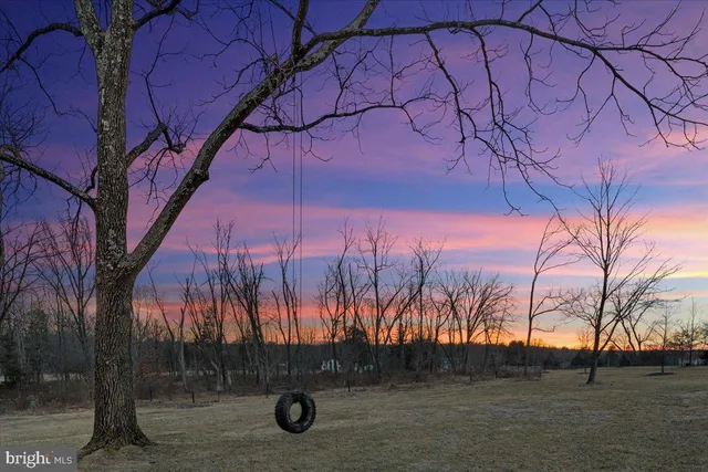 a view of outdoor space with trees