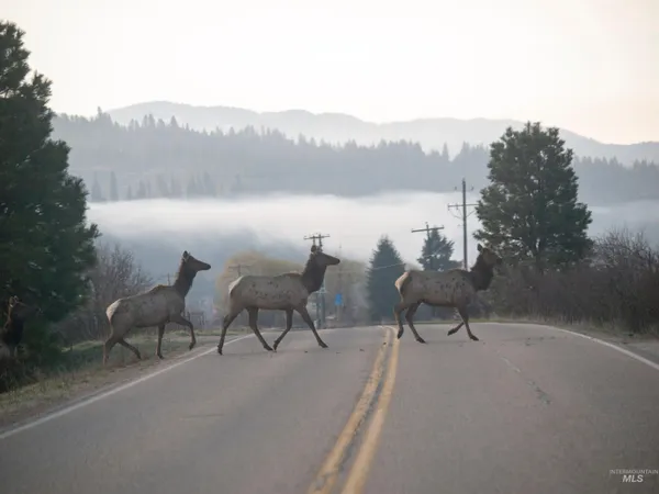 $105,000 | 7 Blk Singing Springs Way, Garden Valley, ID 83622