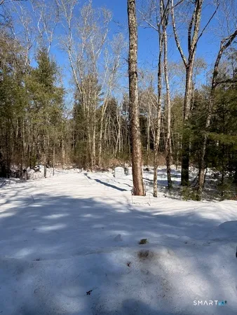 a view of road with trees