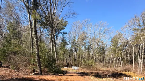a view of a backyard of the house