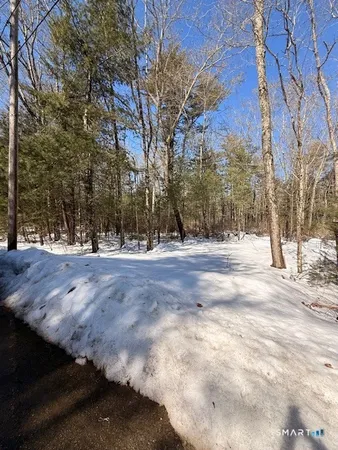 a view of a yard with trees in front of it