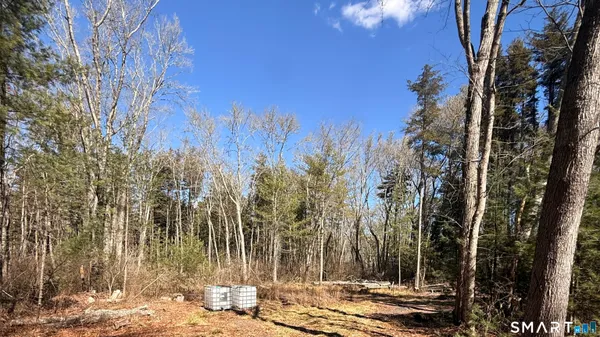 a view of empty space with trees