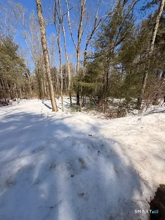 a view of a backyard of the house