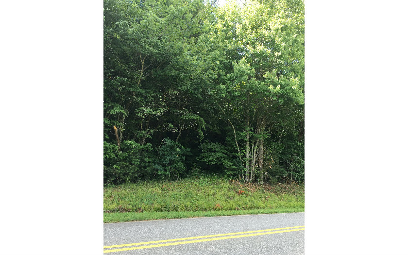2-3 Ballewtown Road Blue Ridge, GA 30513 - Photo 1 of 1 Main View