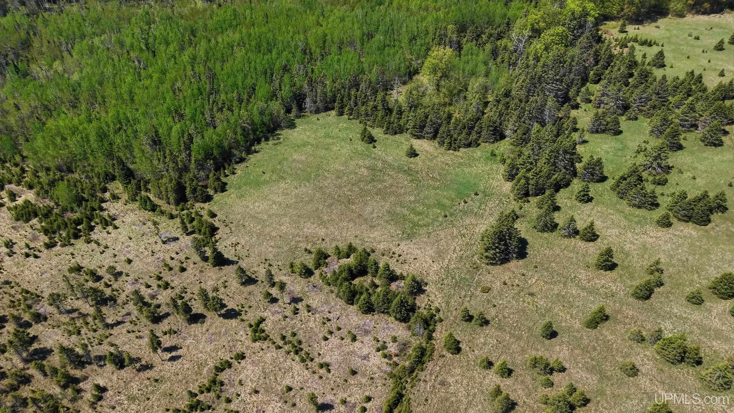 Tbd Co Rd 511 / Y5 Road, Unit STONINGTON Rapid River, MI 49878 - Photo 9 of 21