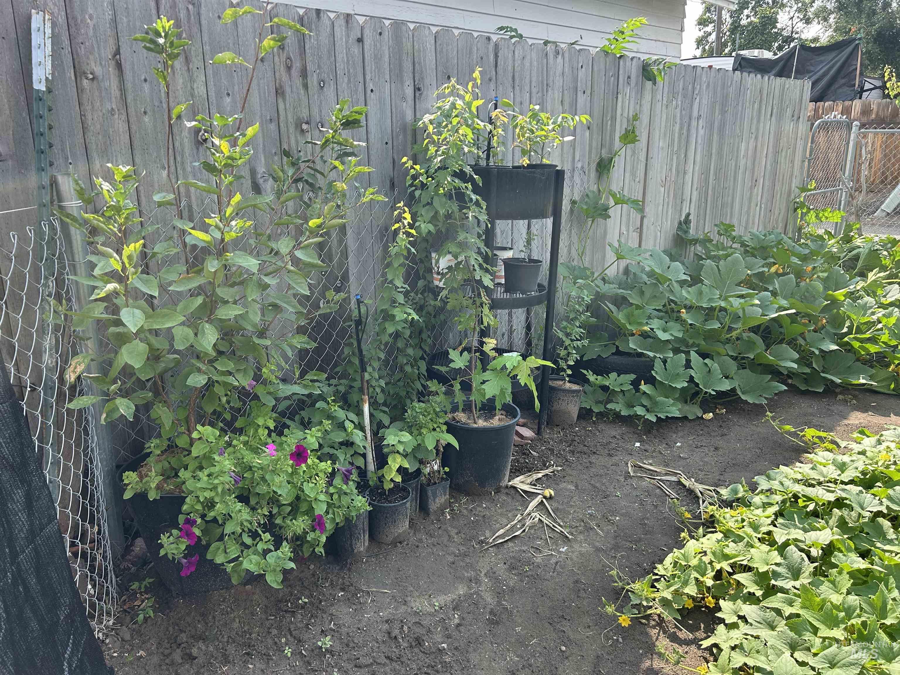 695 North Oregon Street Ontario, OR 97914 - Photo 35 of 36