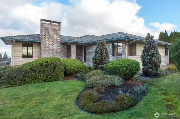 a view of a house with a yard potted plants and a large tree