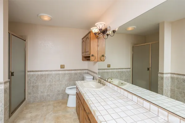 a bathroom with a sink a toilet and a mirror