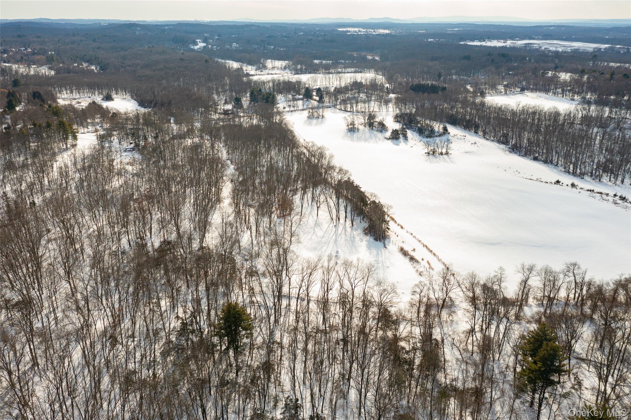 207 Pleasantvale Road Tivoli, NY 12583 - Photo 13 of 13