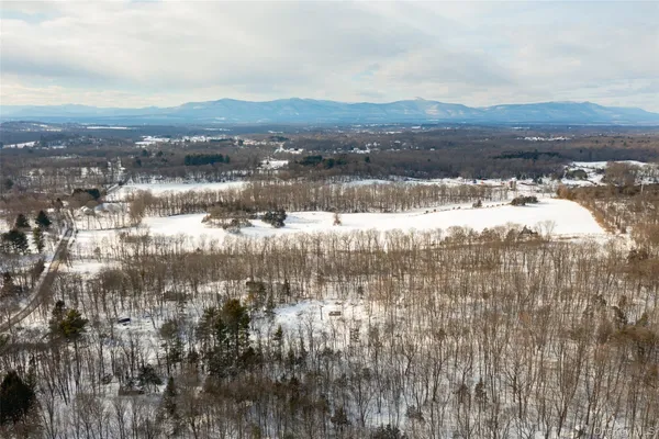 a view of forest